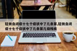 轻微自闭症十七个症状中了几条算,轻微自闭症十七个症状中了几条算几级残疾