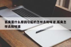 狐臭是什么原因引起的怎样去除味道,狐臭怎样去除味道