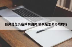 狐臭是怎么造成的图片,狐臭是怎么形成的呀